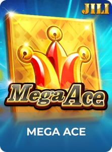 Mega Ace插图9