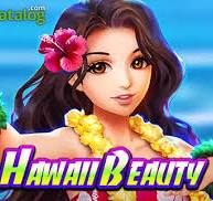 Hawaii Beauty插图