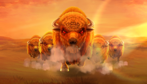 Charge Buffalo插图4