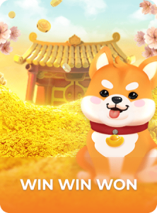 Win Win Won插图4